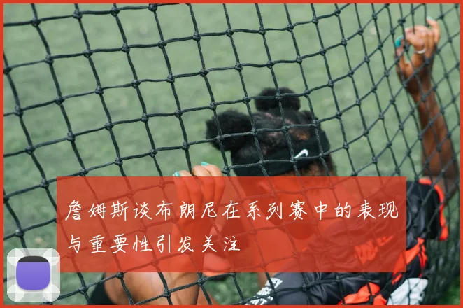 詹姆斯谈布朗尼在系列赛中的表现与重要性引发关注
